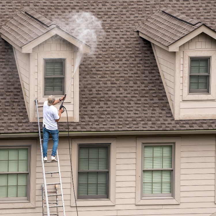 Window Cleaning in DFW Metroplex