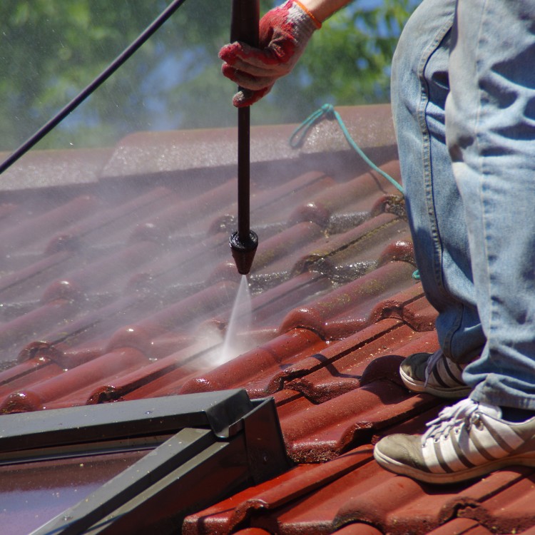 Window Cleaning in DFW Metroplex