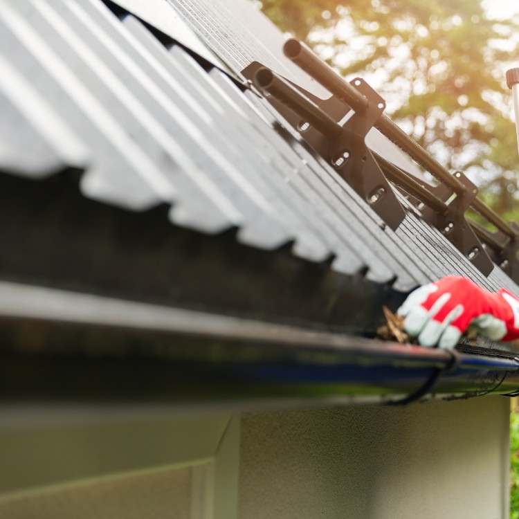 Window Cleaning in DFW Metroplex Window Cleaning in DFW Metroplex