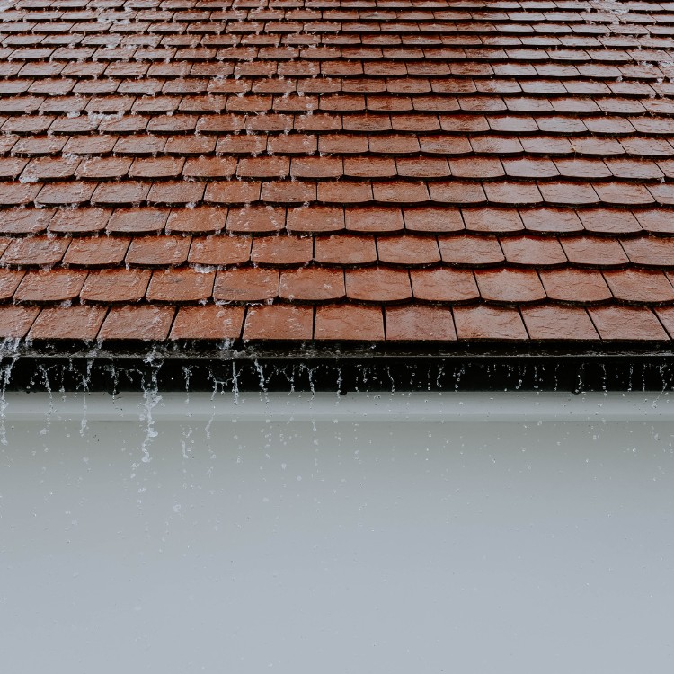 Window Cleaning in DFW Metroplex