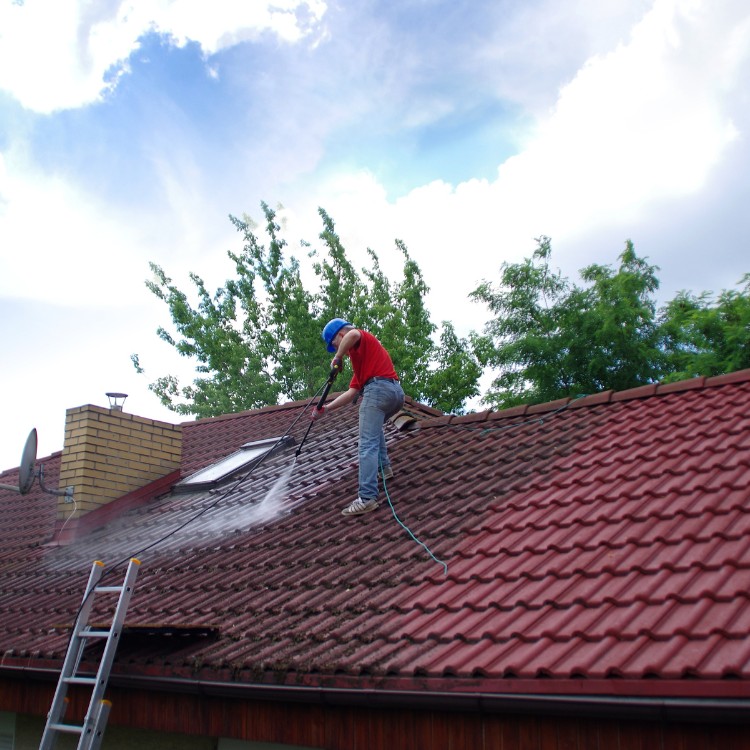 Window Cleaning in DFW Metroplex