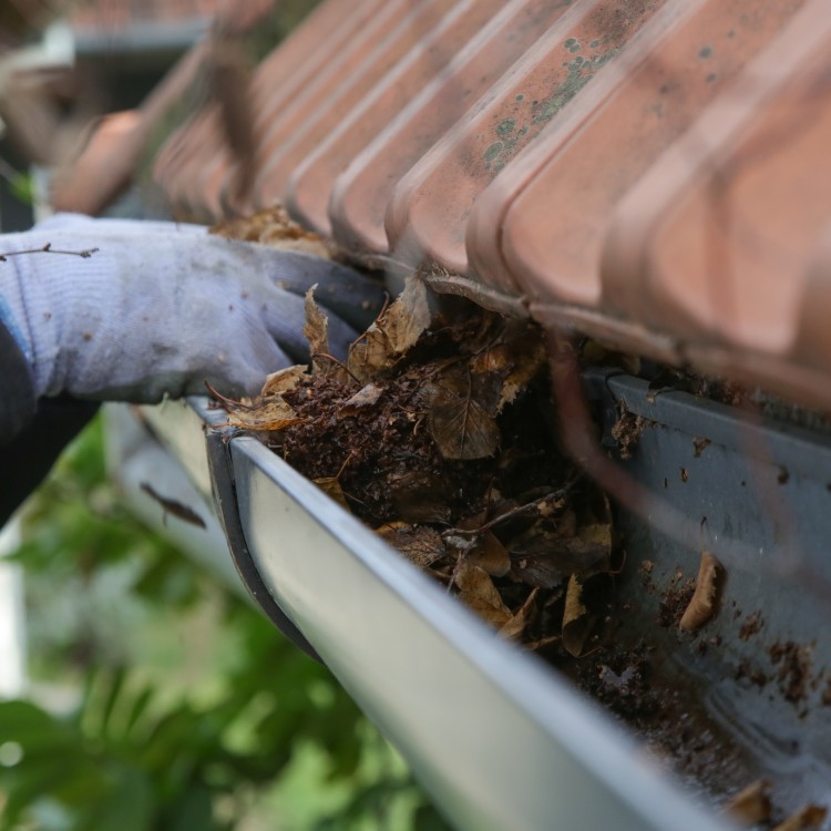 Window Cleaning in DFW Metroplex Window Cleaning in DFW Metroplex